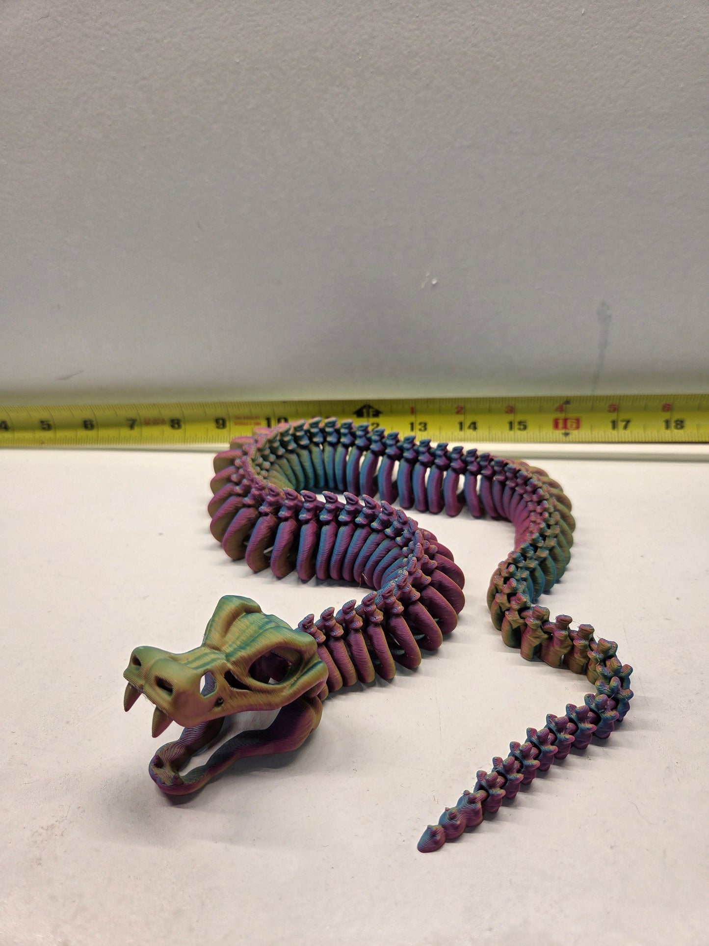 Skeleton Snake (21" long!)